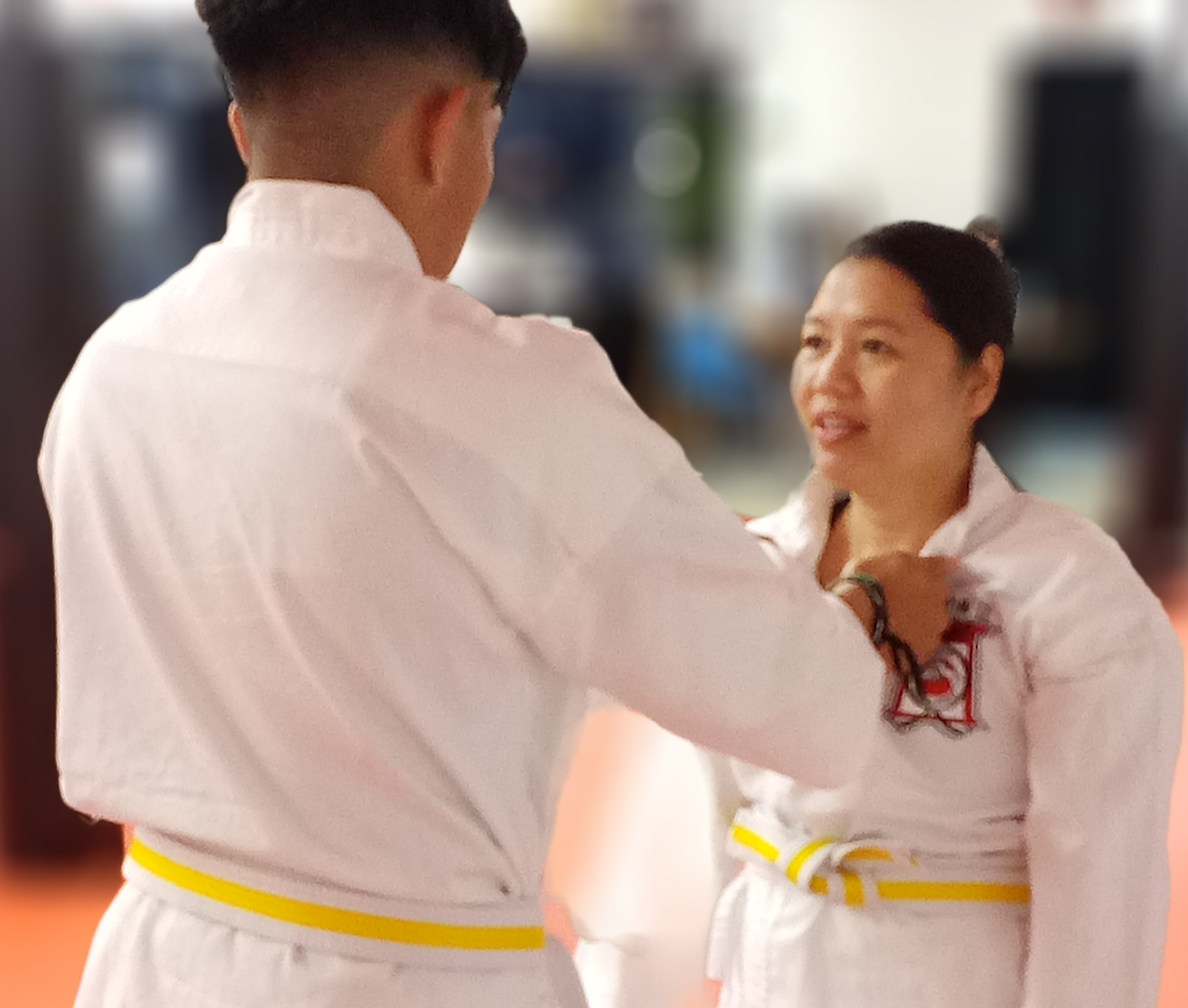 Juniors Martial Arts (Ages 6-11)